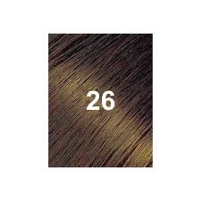 Bigen 26 Marron Doré 6g – Long-lasting rich golden brown hair color with natural, vibrant coverage.