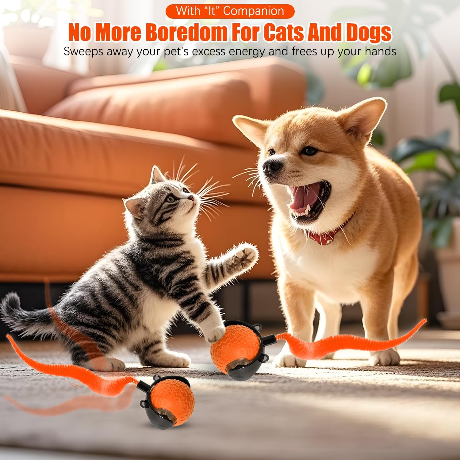 Interactive Cat Toy Ball with Feather Tail – Motion-Activated Rolling Play Fun