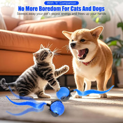 Interactive Cat Toy Ball with Feather Tail – Motion-Activated Rolling Play Fun