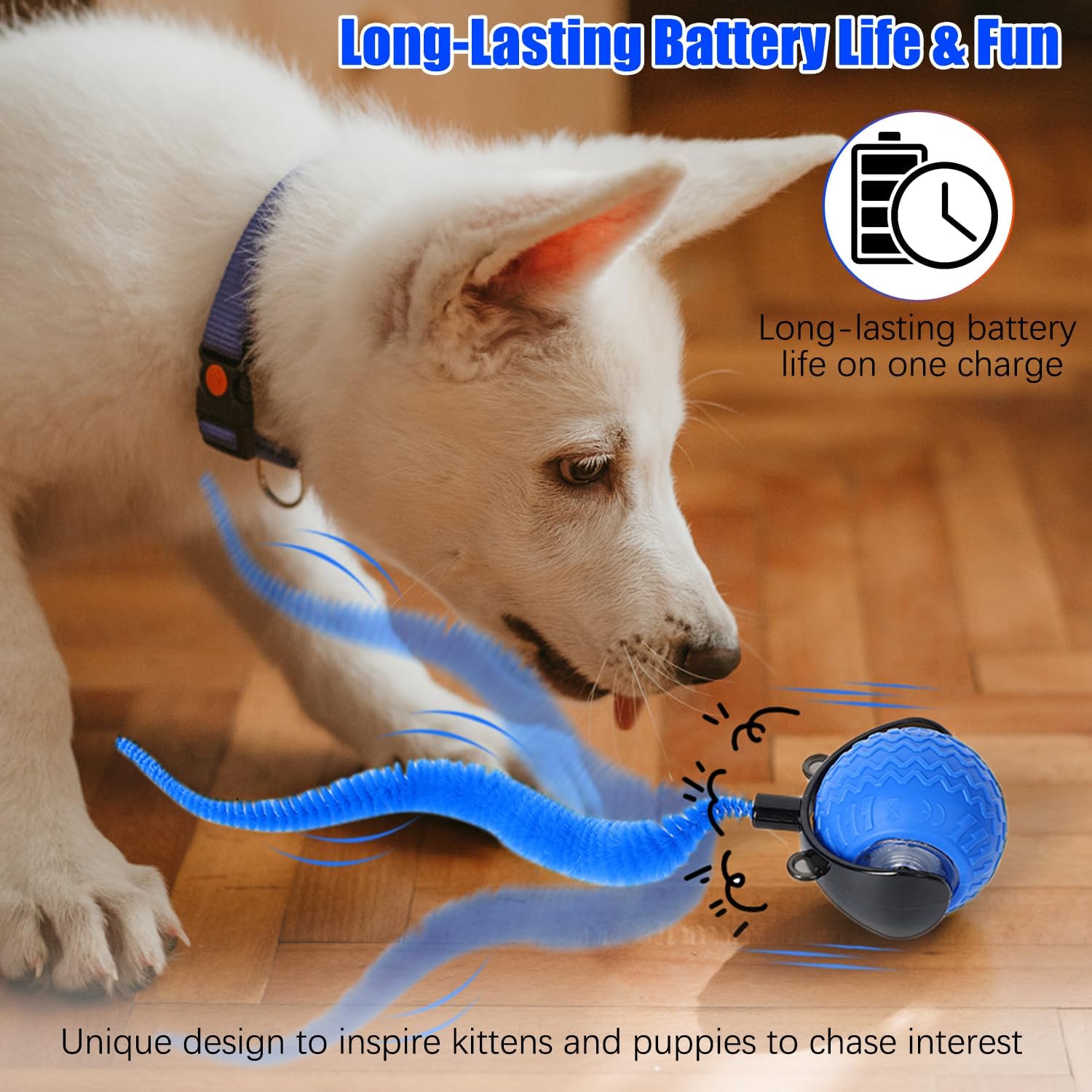 Interactive Cat Toy Ball with Feather Tail – Motion-Activated Rolling Play Fun