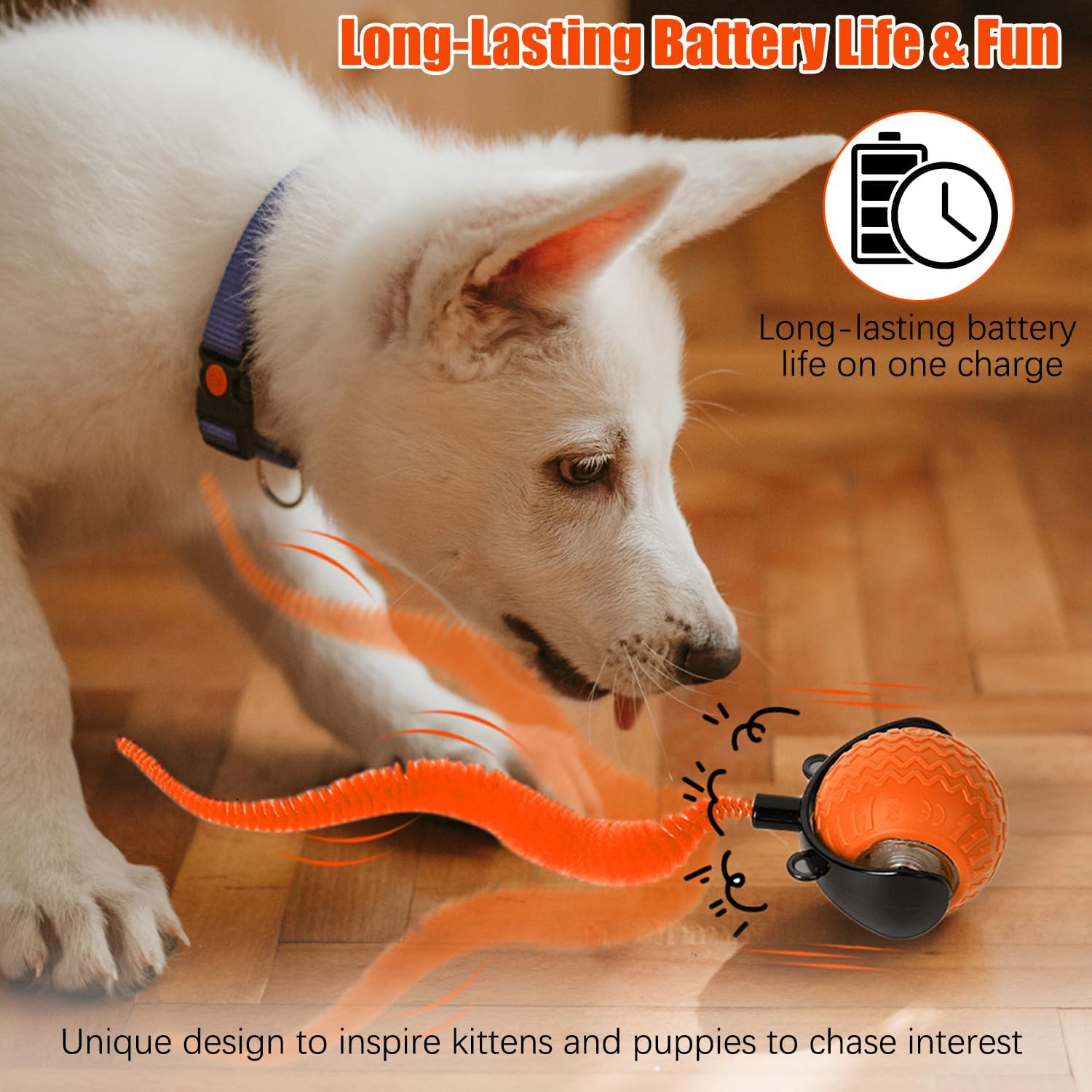 Interactive Cat Toy Ball with Feather Tail – Motion-Activated Rolling Play Fun