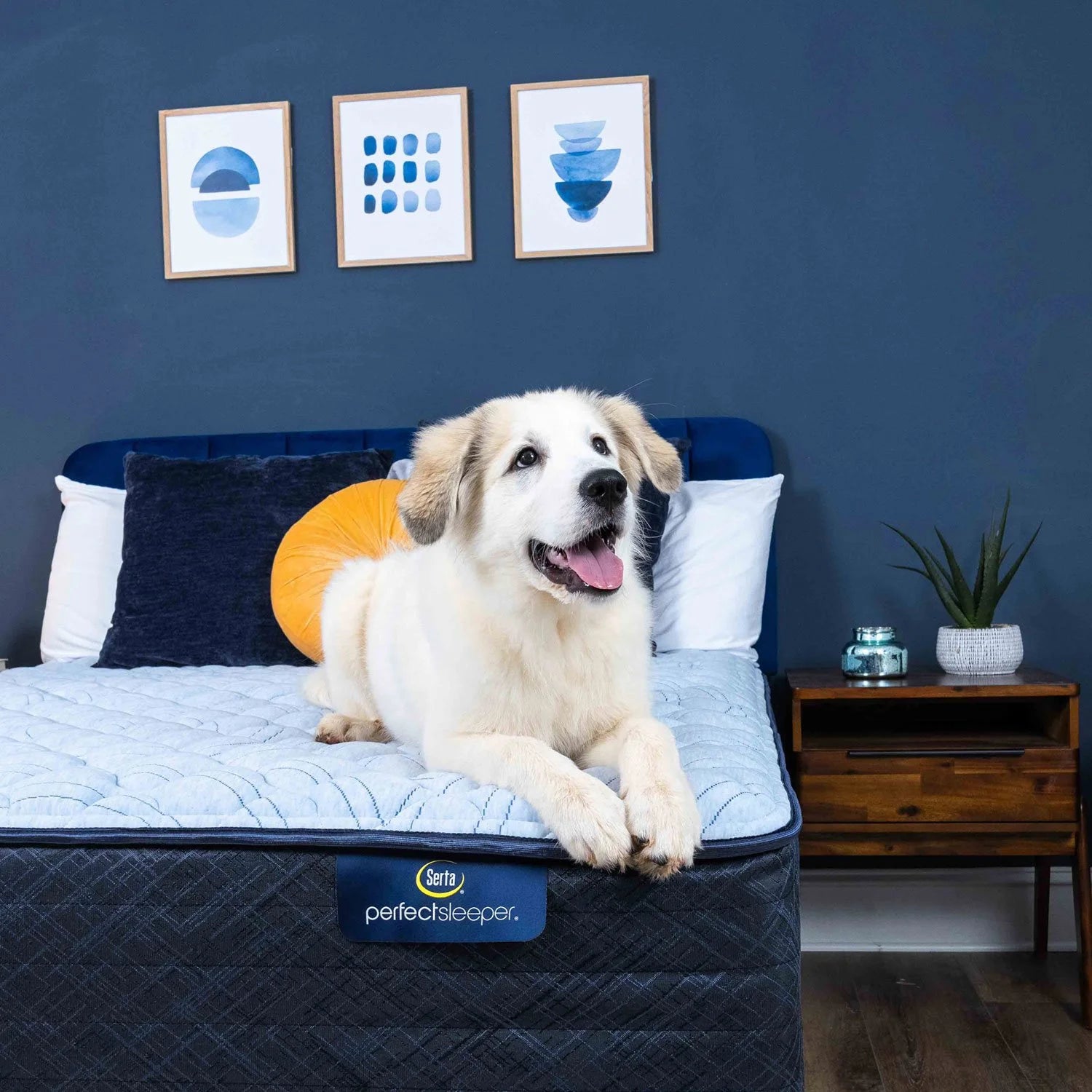 Serta Perfect Sleeper Bleu Moment 13.5" Mattress – Available in Firm or Plush Comfort Options