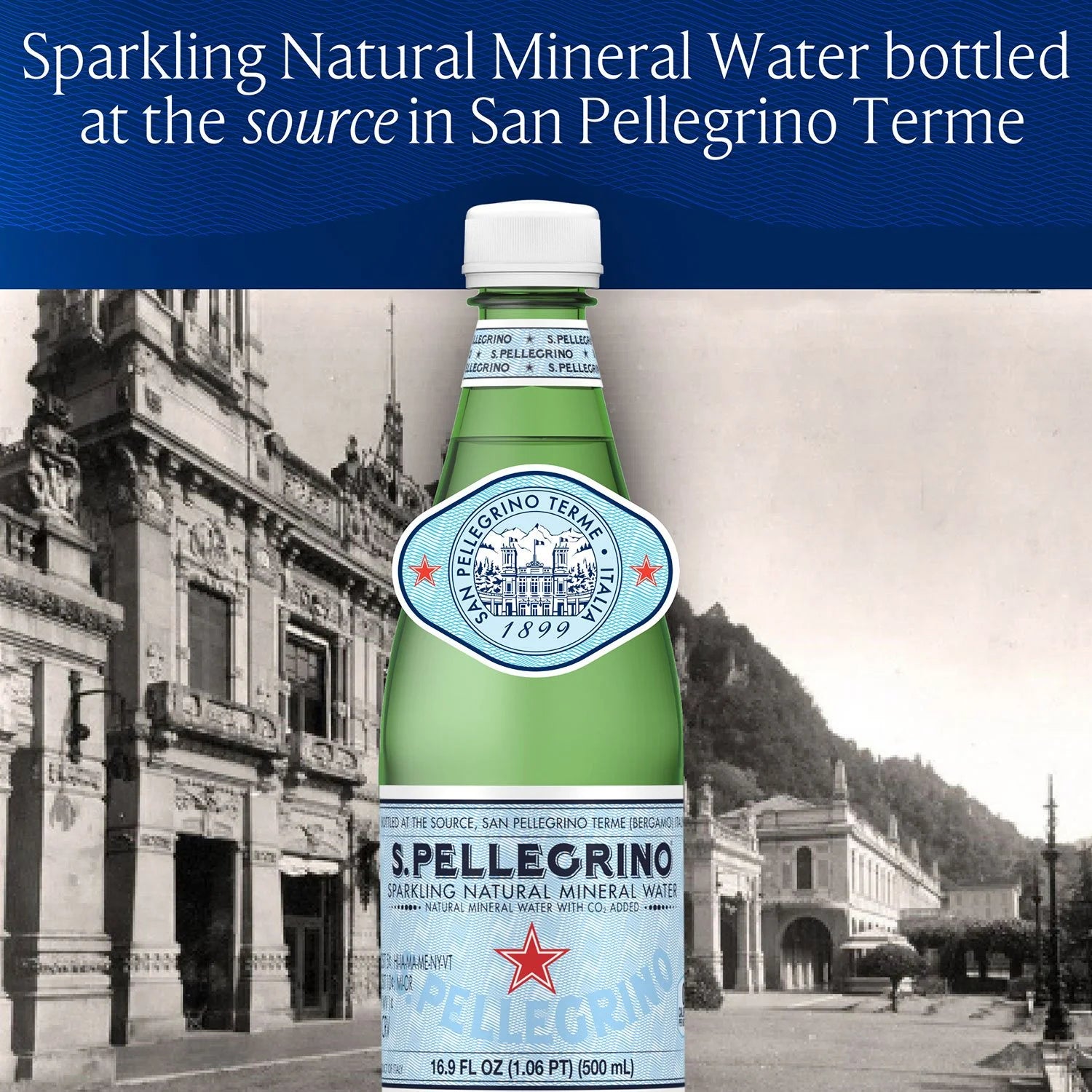 S.Pellegrino Sparkling Natural Mineral Water, 16.9 fl oz (500ml), Pack of 24 Bottles